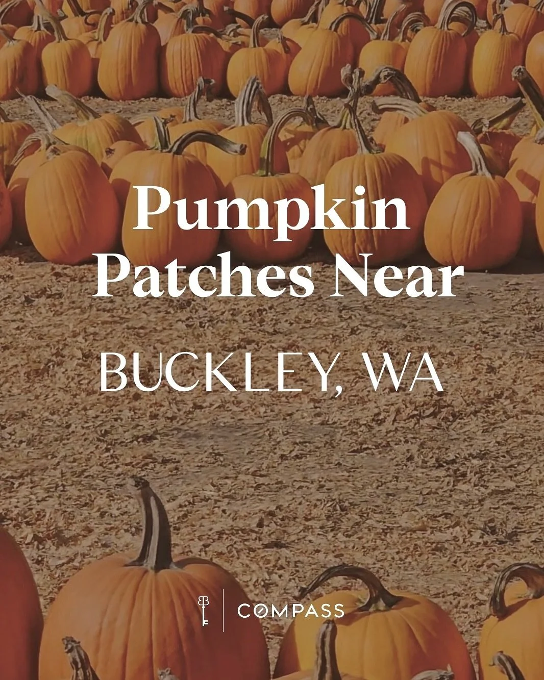 We’re so ready for the seasonal fun to start, and today we’re talking about pumpkin patches. 
Such a great way to spend time with your family and loved ones. Walking around, picking out your favorite pumpkins, making fun of the really ug