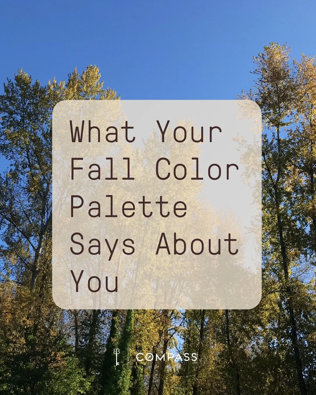 Fall colors set the tone for the season, don&rsquo;t they? 🍁  Golden yellows, deep oranges, or those soft cozy neutrals. Each one brings its own kind of magic to the season and sets the tone for your fall. ✨

Whatever vibe you choose, we love helpin