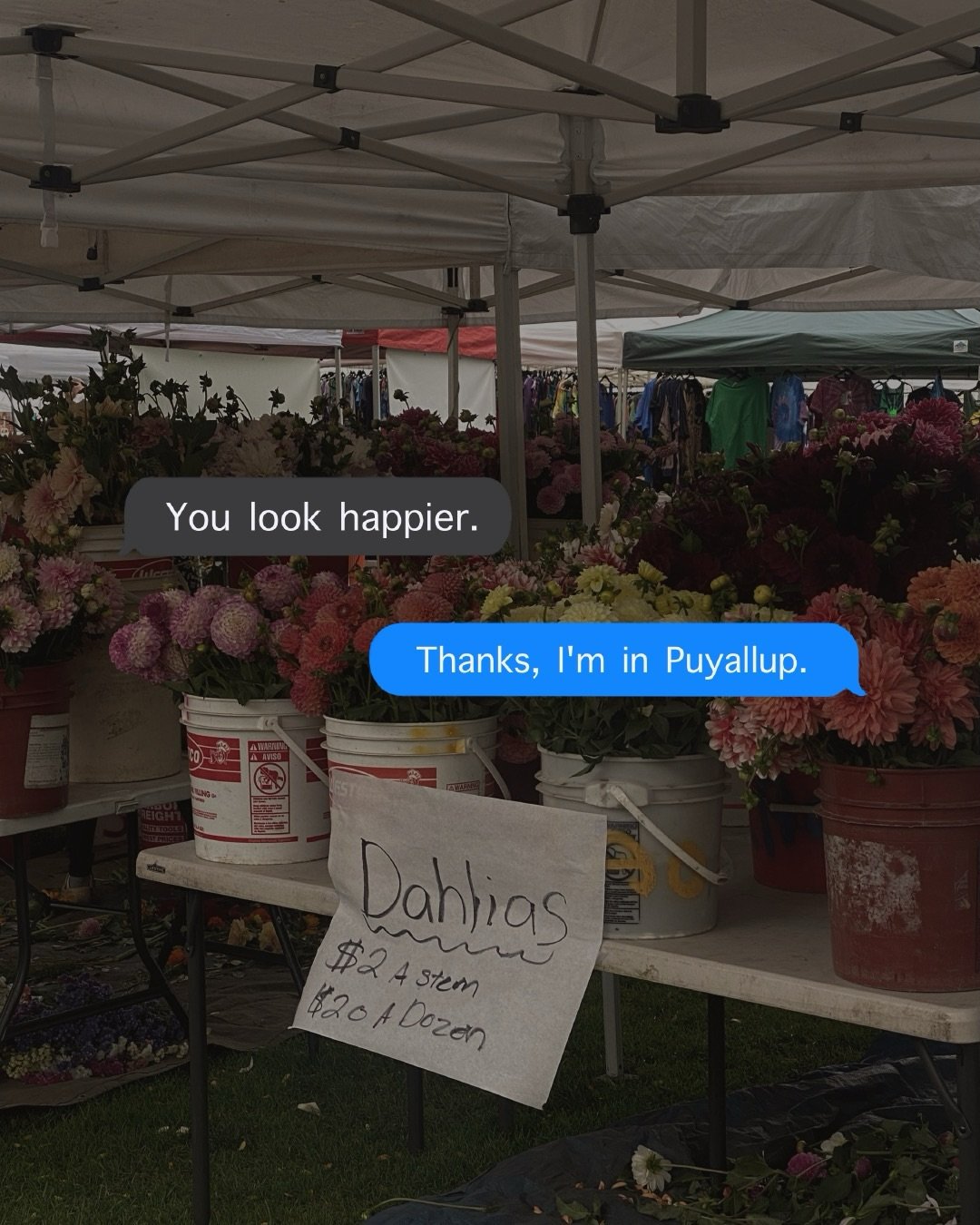 Fun city 🤝  Cool homes...

Two things...
1. There&rsquo;s always something to do in Puyallup. 
2. There&rsquo;s a house for you here.

Whether it&rsquo;s concerts at the fairgrounds, or farmers market in the park &ndash; There is always an event or 