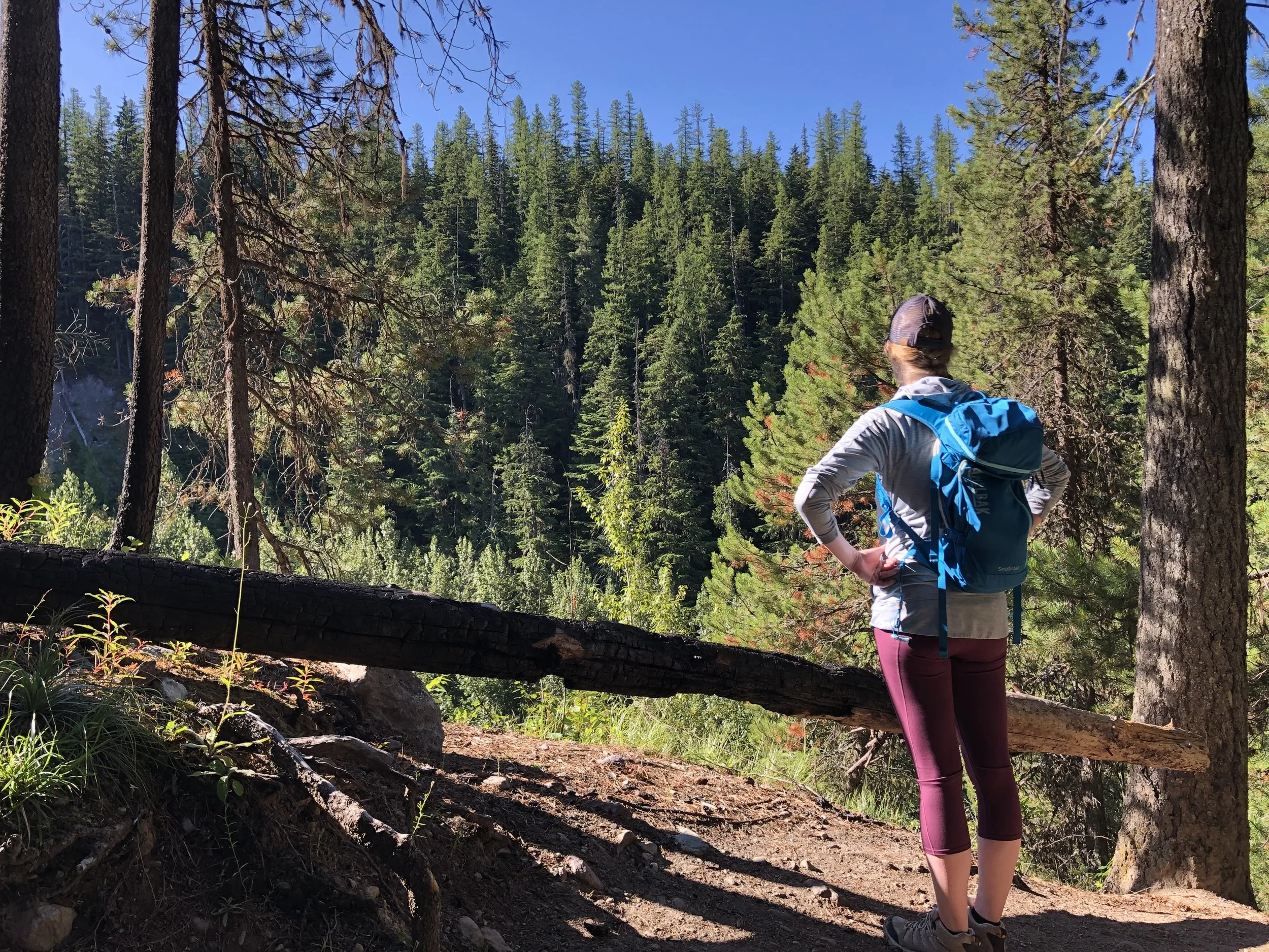 Hike in GNP