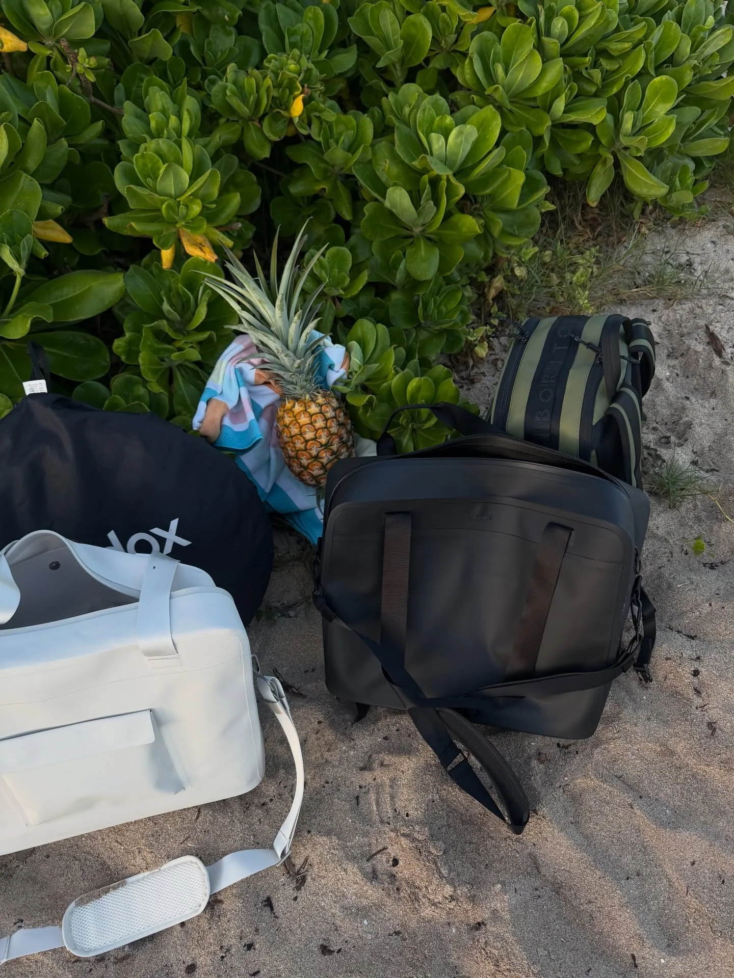what the fuck is up with Friday 🍍