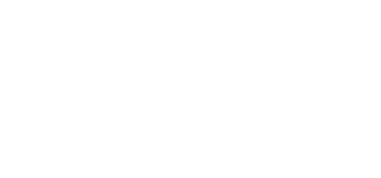 The Light Fantastic