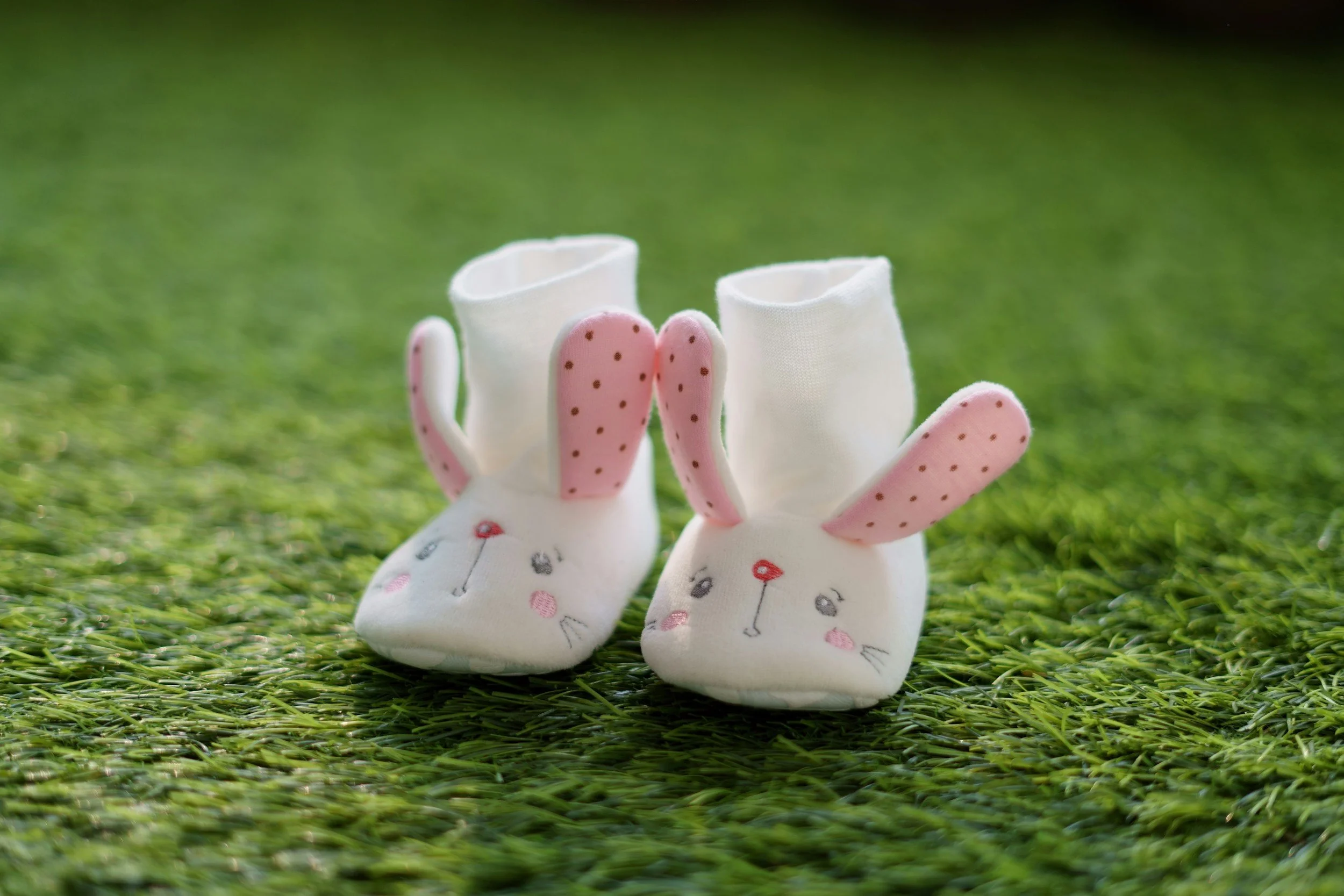 Sock Bunnies 