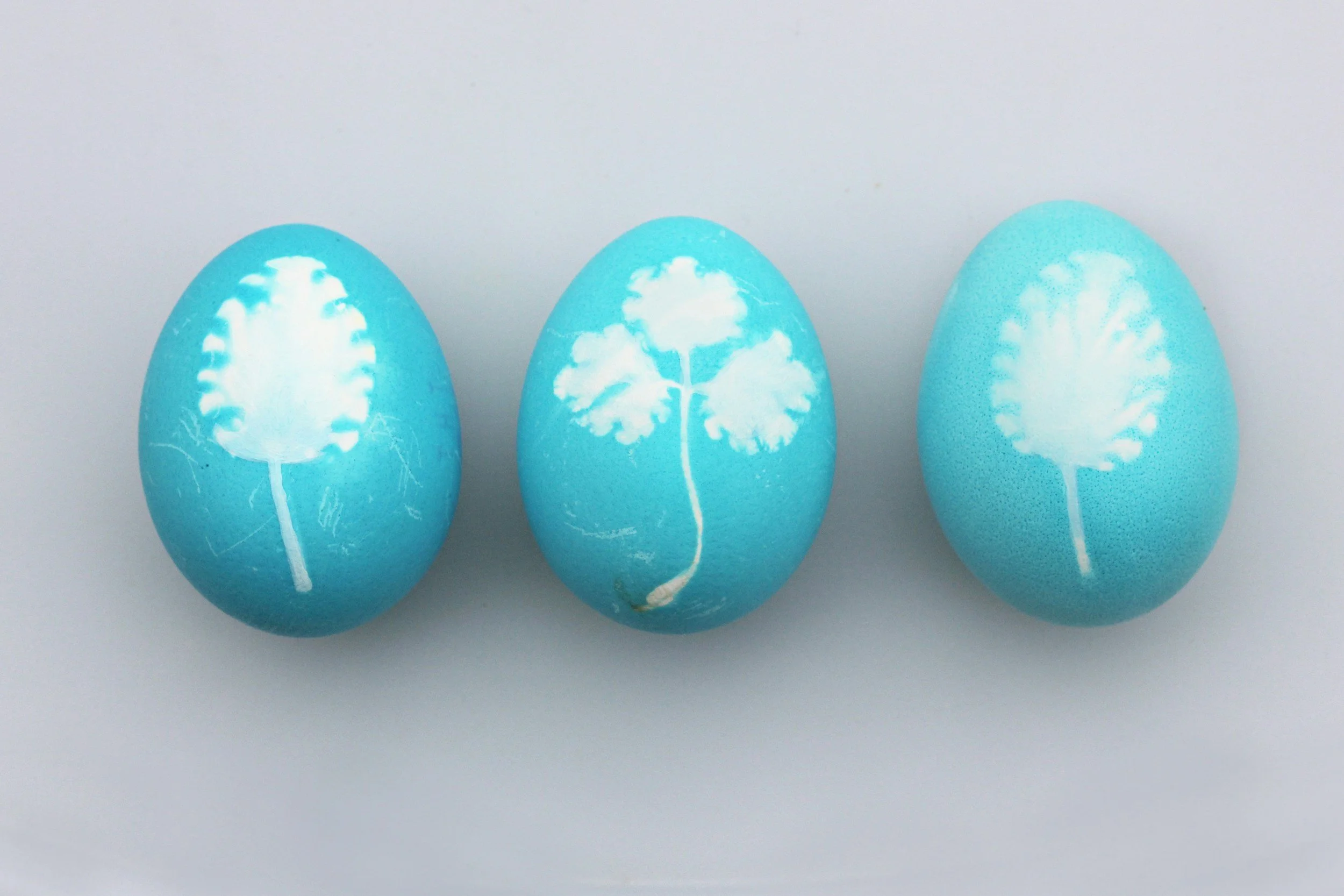Easter Dye Eggs 