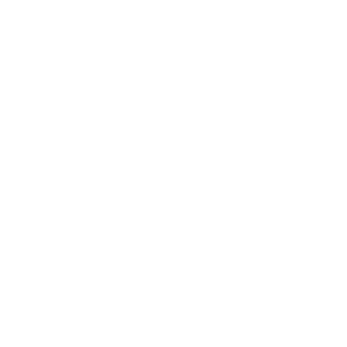 Camden Special Steps | Camden County Georgia
