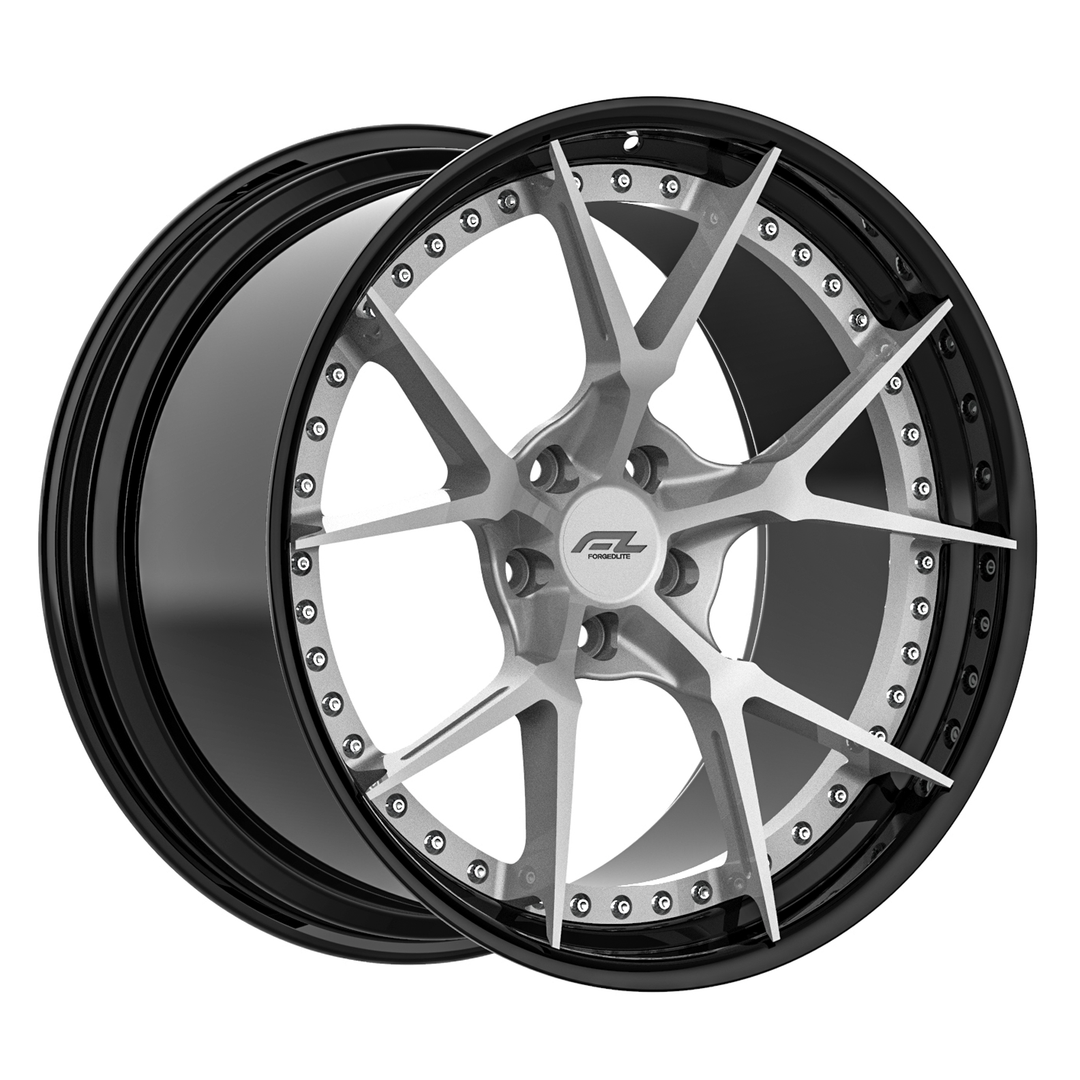 2022FORGEDLITE-WHEELS-DC5-2PC-MODULAR-FORGED-1_05a27b99-c64d-4618-b92c-d8739828440c.png
