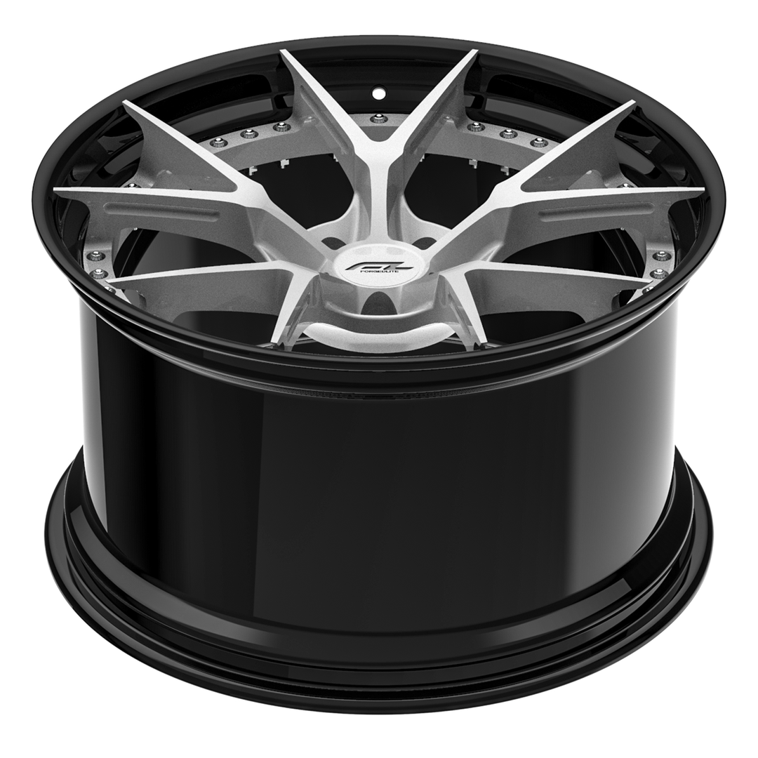 2022FORGEDLITE-WHEELS-DC5-2PC-MODULAR-FORGED-3_b3dafd72-6d81-422f-9830-544af3aa9518.png