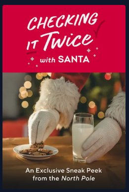 Checking It Twice.jpg