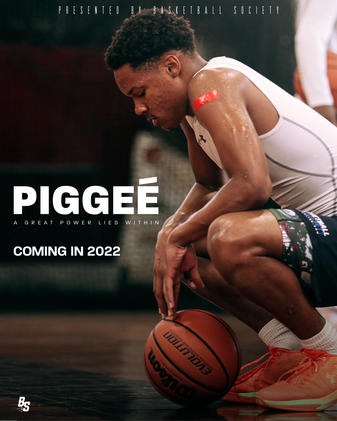 Pigee.png