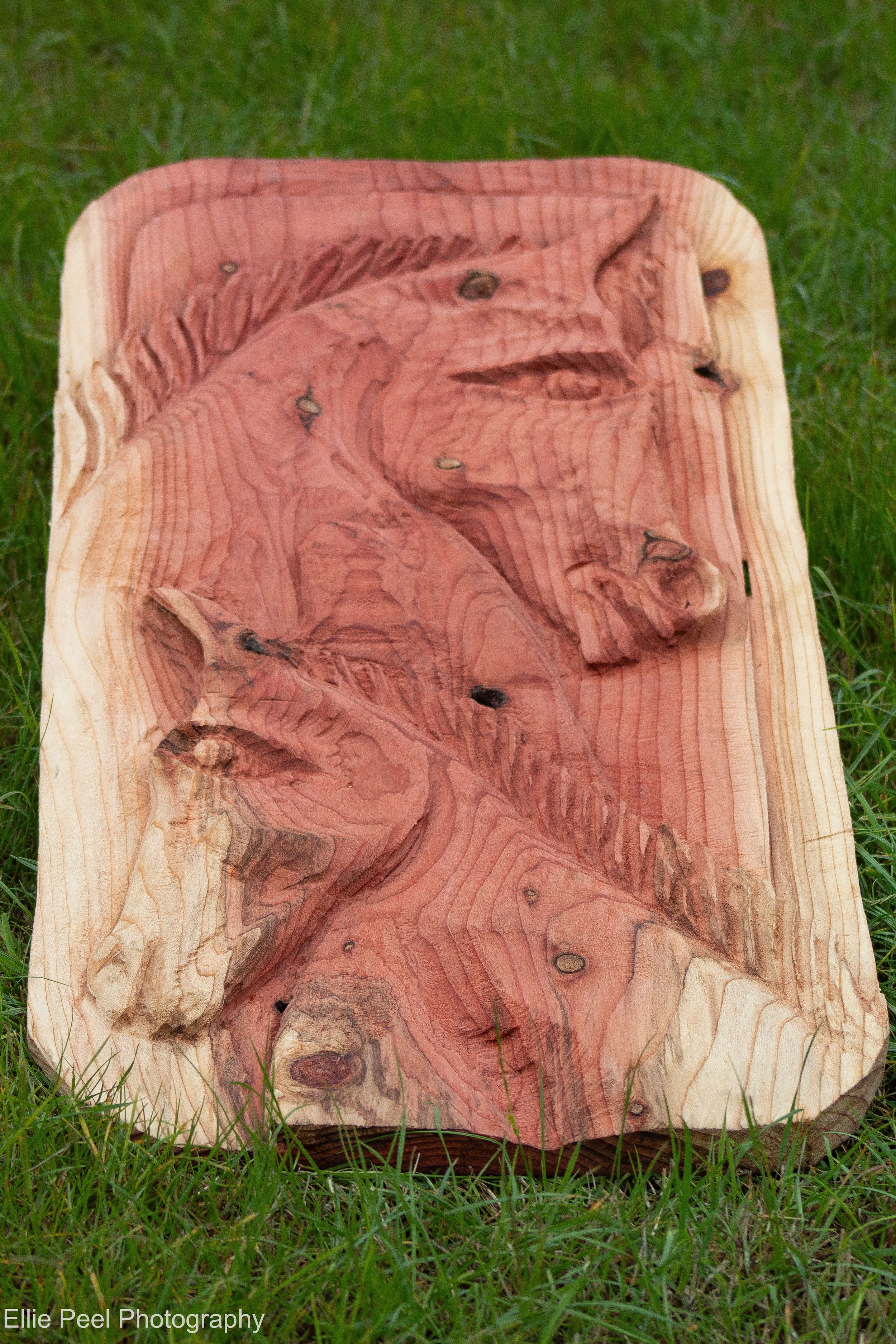 Yorkshire Carver 2.jpg