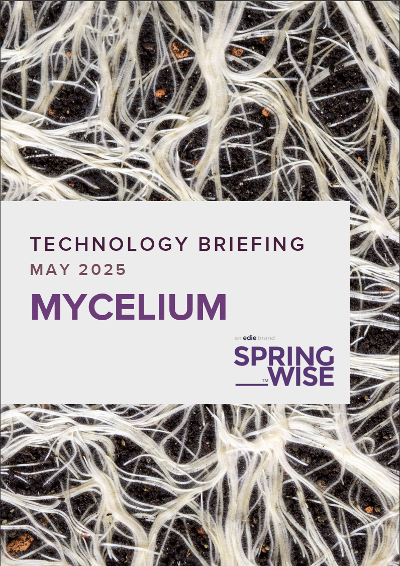 Contributing to Springwise Technology Briefing: How  Fungi is Shaping a Sustainable Tomorrow