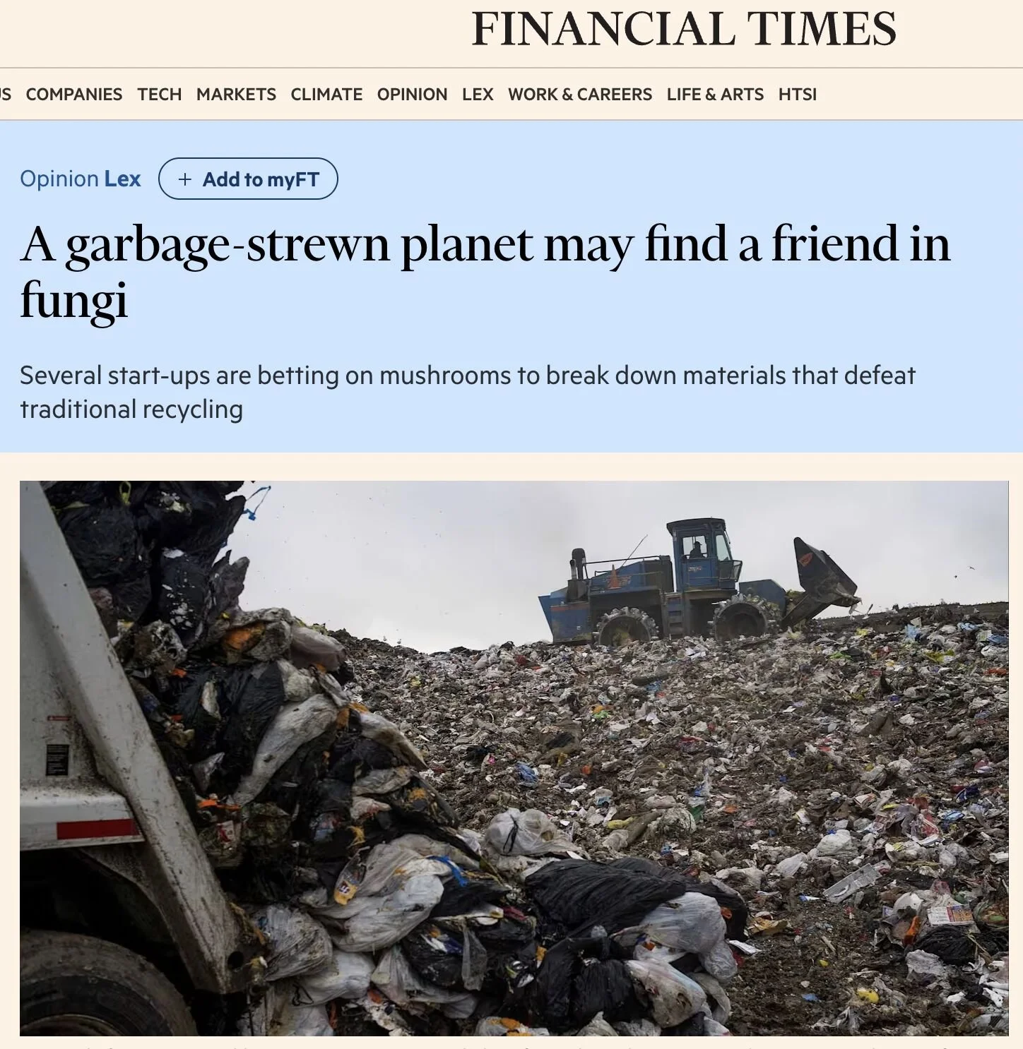 Financial Times Spotlights The Future is Fungi Award Winners