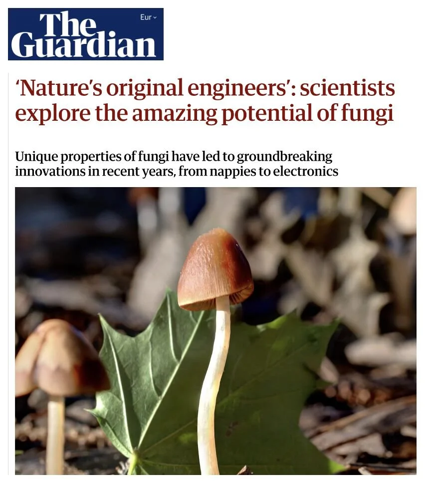 The Guardian Spotlights Startup Award Winners