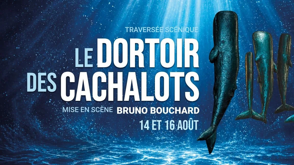 Affiche promotionnelle pour la pièce de théâtre "Le dortoir des cachalots" de Bruno Bouchard, avec des cachalots stylisés sous l'eau.