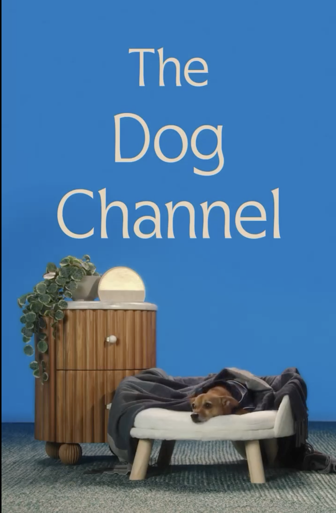 Hatch, "The Dog Channel" - Ad