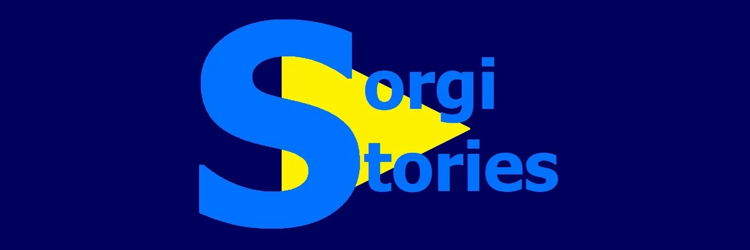 Sorgi Stories