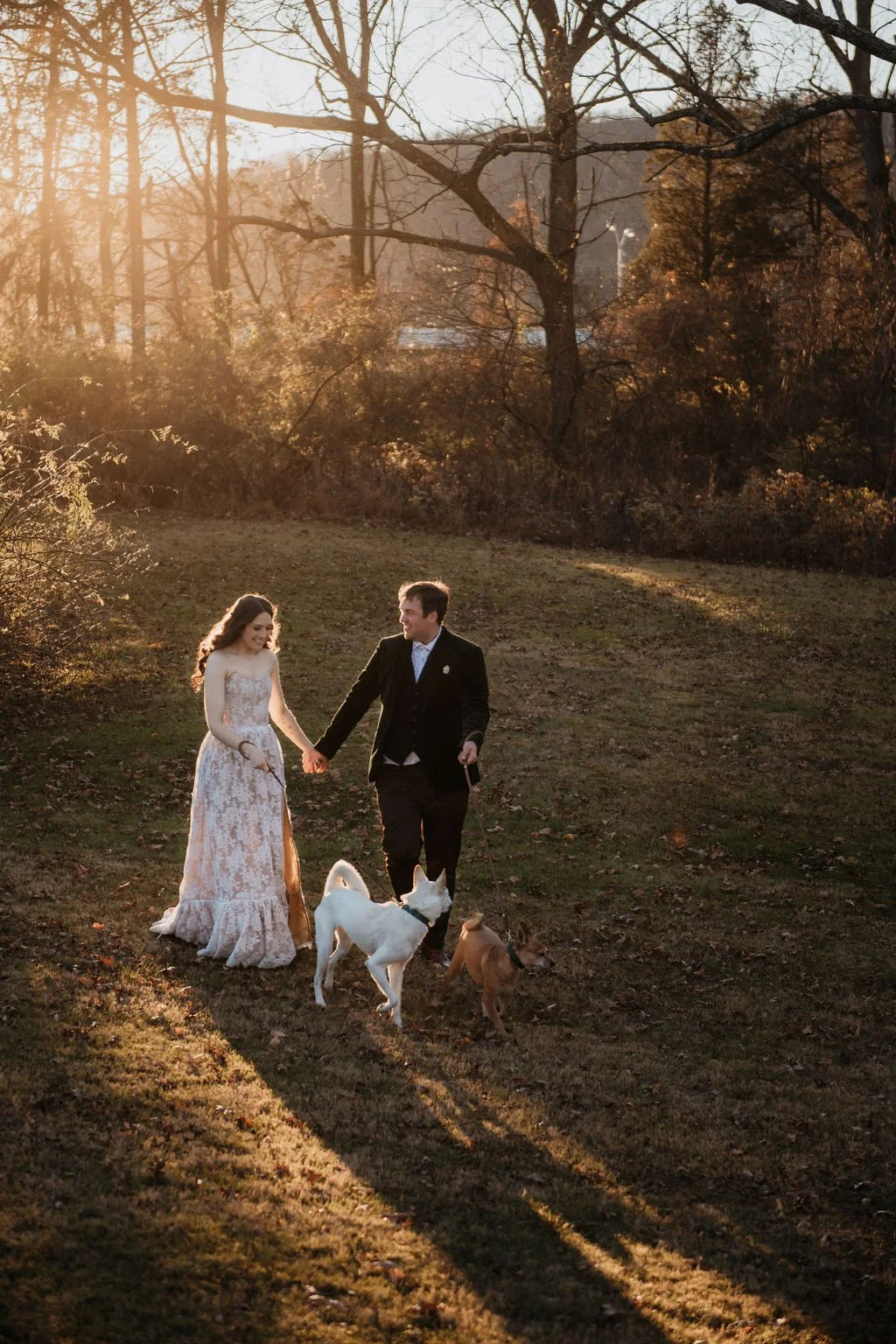 A couple dressed in wedding attire walking two dogs through a park at sunset, with bare trees in the background.