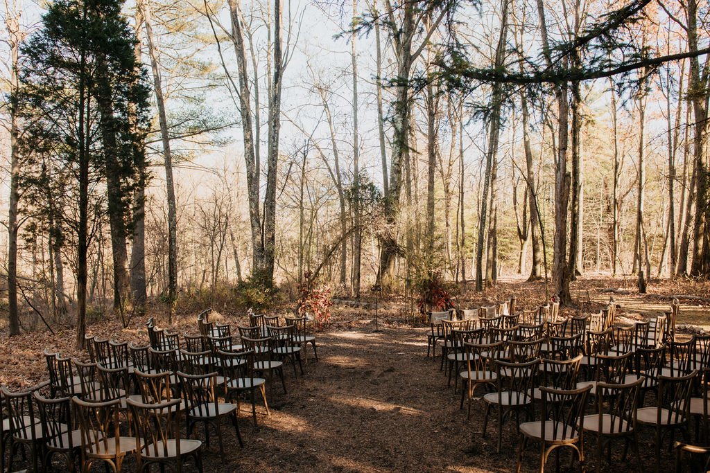 Empty chairs arranged outdoors on dirt ground in a forest, with tall trees and sunlight