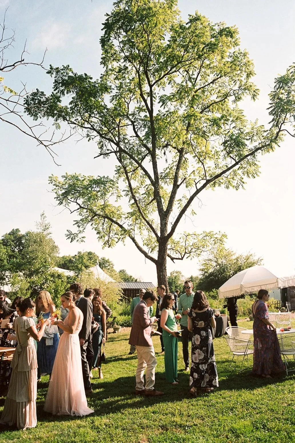 People gathered outdoors at a social event near a large tree with green leaves, some are standing and chatting, others are serving or enjoying drinks under a white patio umbrella, with a bright sky and greenery in the background.