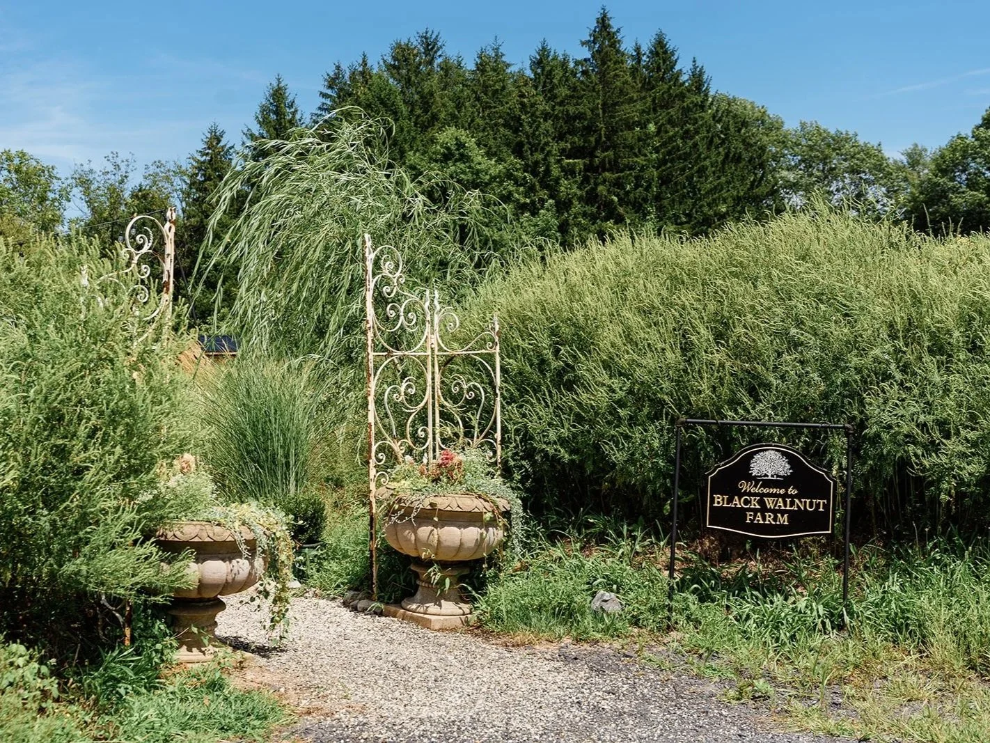 Black-walnut-farm-entrance.jpg