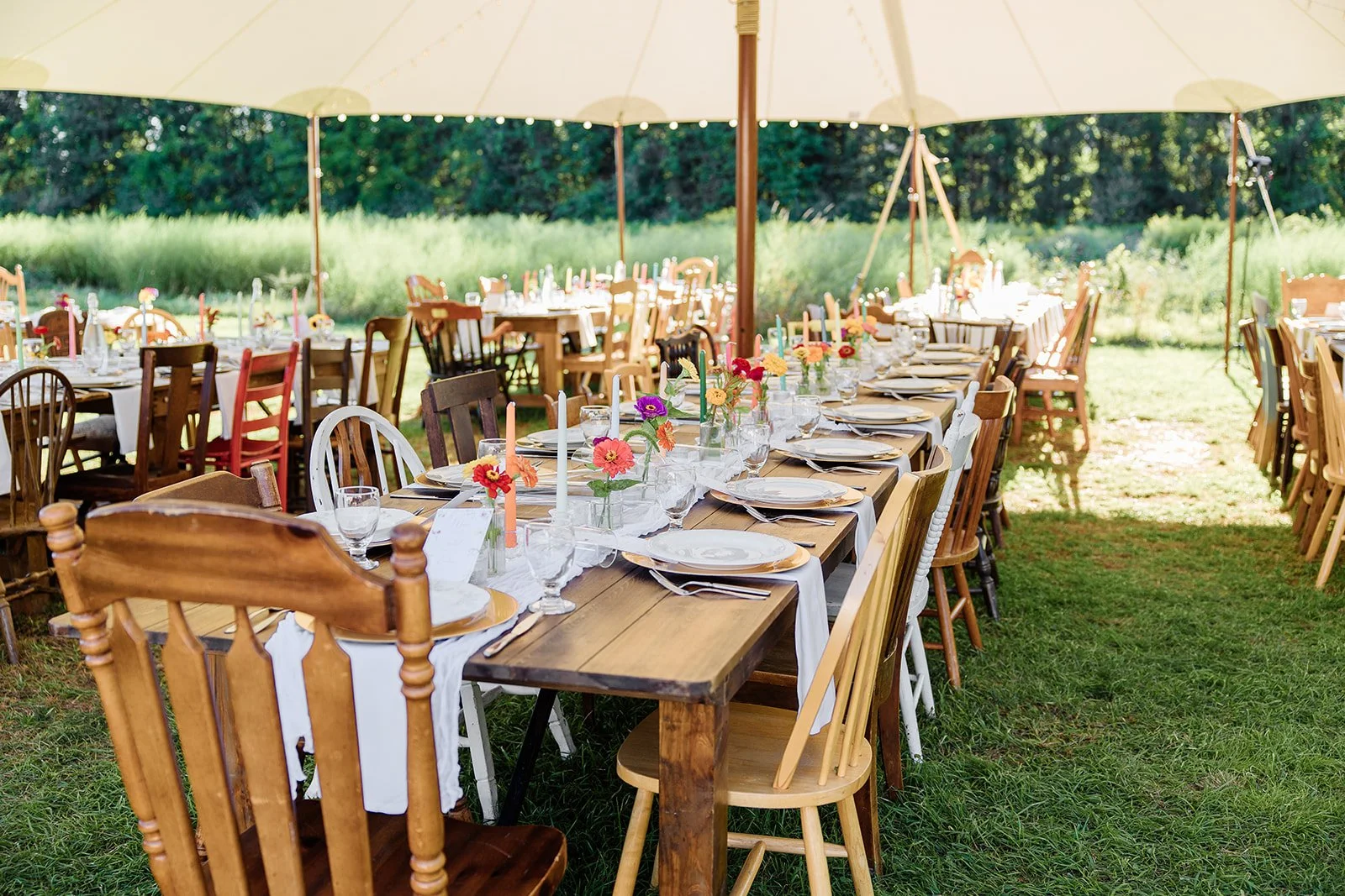 Under a large white tent outdoors, a long wooden table is decorated with vases of colorful flowers, set with white plates, silverware, wine glasses, and pink candles, for a rustic outdoor celebration.