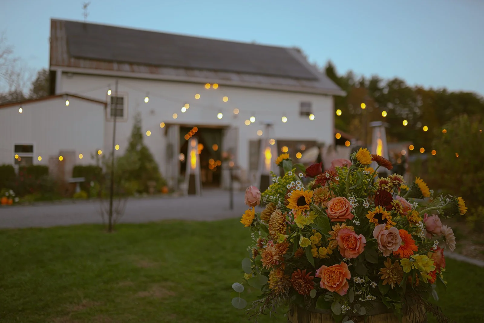 A large bouquet of colorful flowers including roses and sunflowers in the foreground, with a white barn decorated with string lights in the background during dusk.
