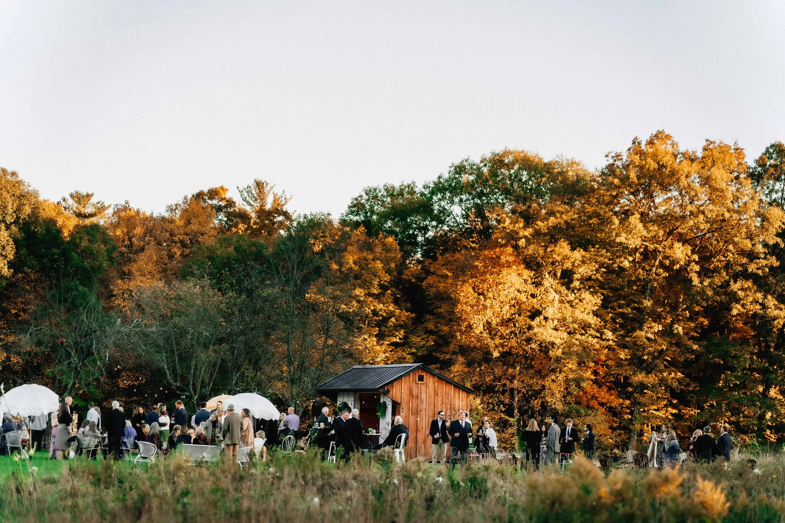 People gathered outdoors for a social event or party, with some holding umbrellas, in front of a small wooden shed and large trees with fall foliage.