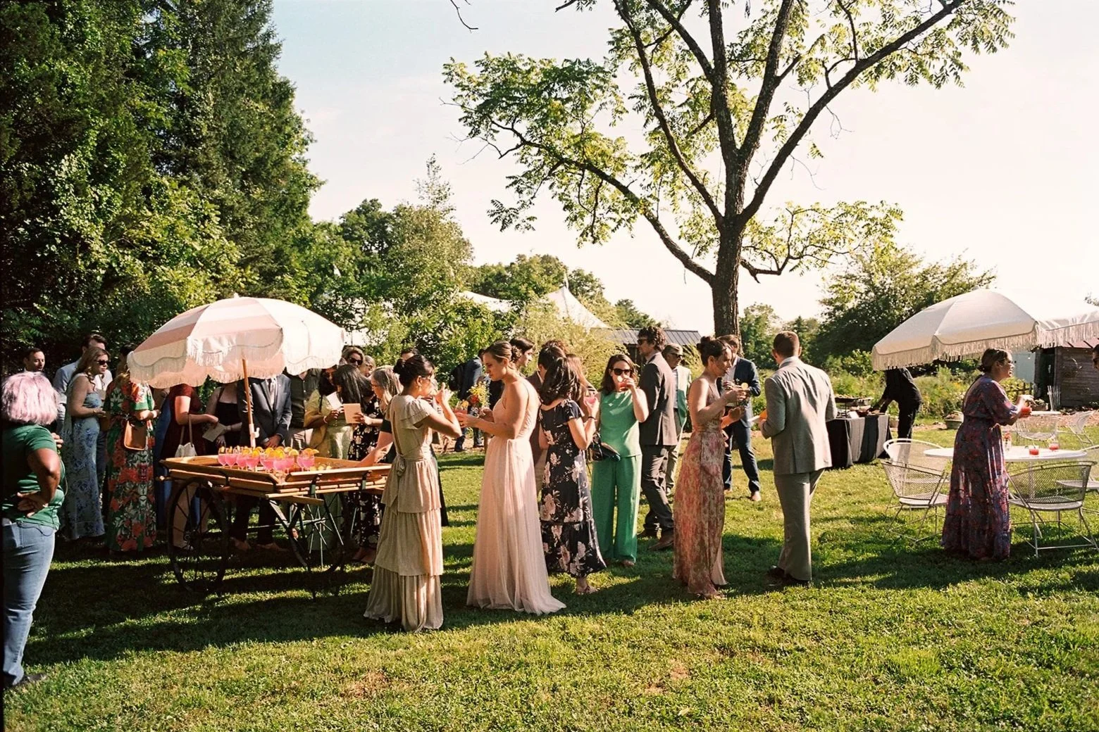 People gathered outdoors at a social event, some under white umbrellas, with a table of drinks in the foreground, during a sunny day in a grassy yard with trees.