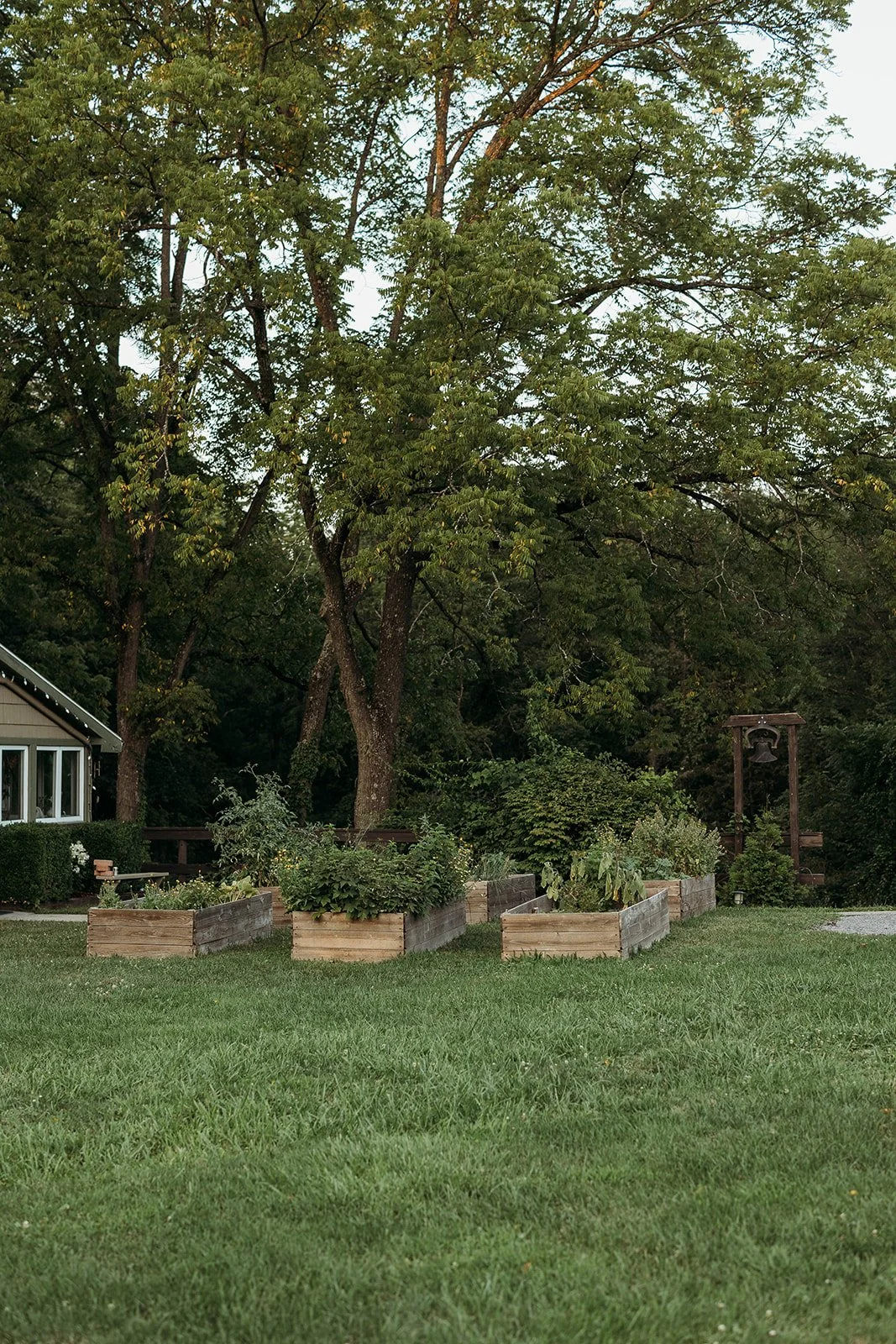 A well-maintained backyard garden with wooden planters filled with various plants and herbs, surrounded by lush green grass and trees in the background. A house with large windows is visible on the left, and a wooden bell structure stands on the righ