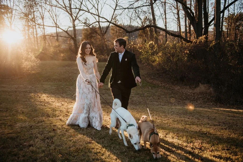 A newlywed couple walking dogs in a park during sunset, with leafless trees and golden sunlight.