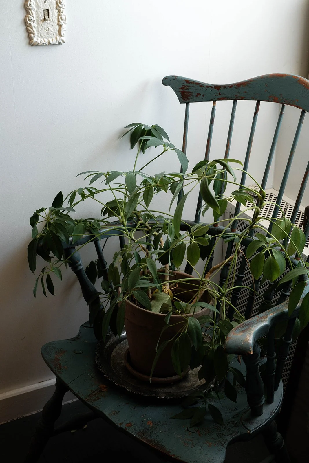 DSCF9147.jpg