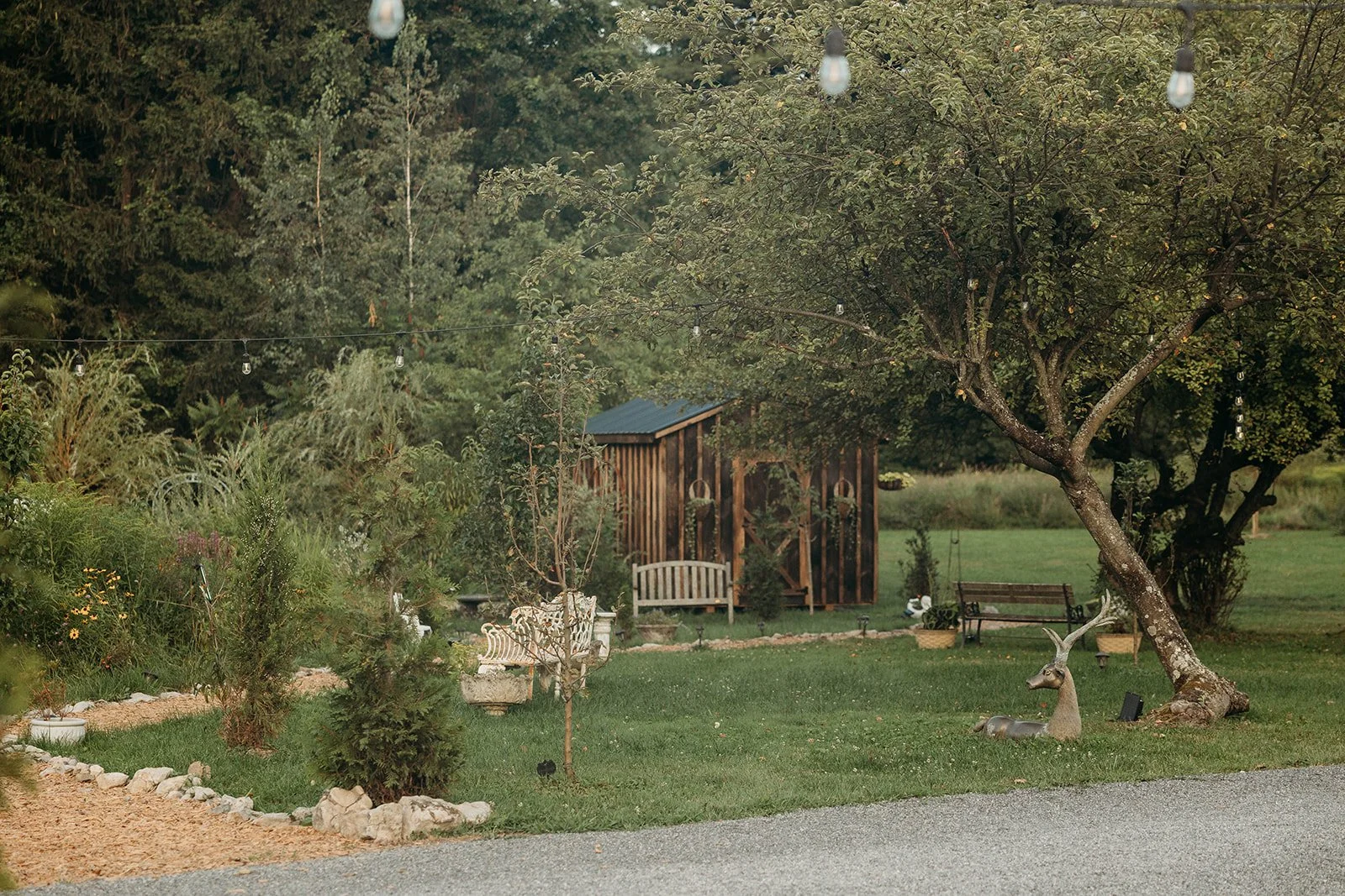 A backyard garden with a wooden shed, benches, decorative plants, string lights, and two deer sculptures, surrounded by trees and greenery.