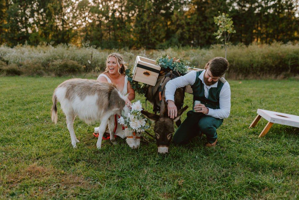 A couple celebrating outdoors with a small goat and a donkey, the woman is laughing and holding flowers, the man is petting the donkey, and there is a small bench nearby.