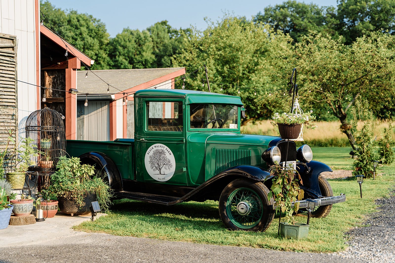 A vintage green truck with a logo reading 'Black Walnut Farm' parked on a green lawn, surrounded by potted plants and flowers, with trees and a clear blue sky in the background.