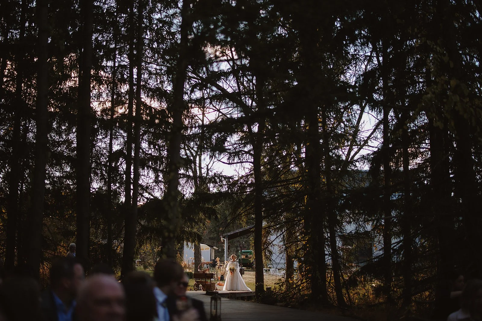 Wedding scene in a forest with a bride in a wedding dress standing on a wooden platform. Several guests are seated in the foreground, with some trees blocking part of the background. The scene appears to be outdoors during the late afternoon or early