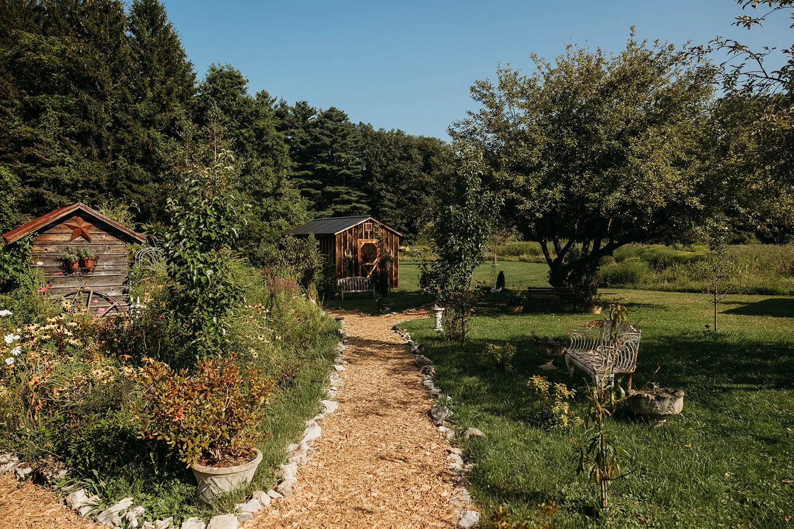 mulch-garden-path-black-walnut-farm.jpg