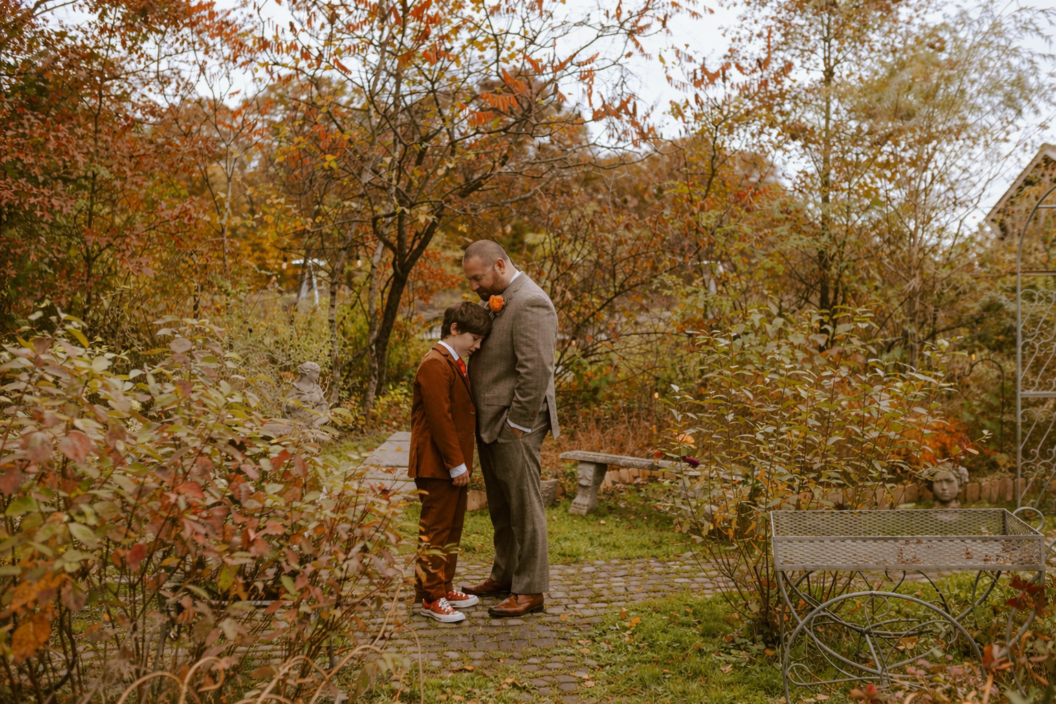 forest-in-fall-black-walnut-farm.png