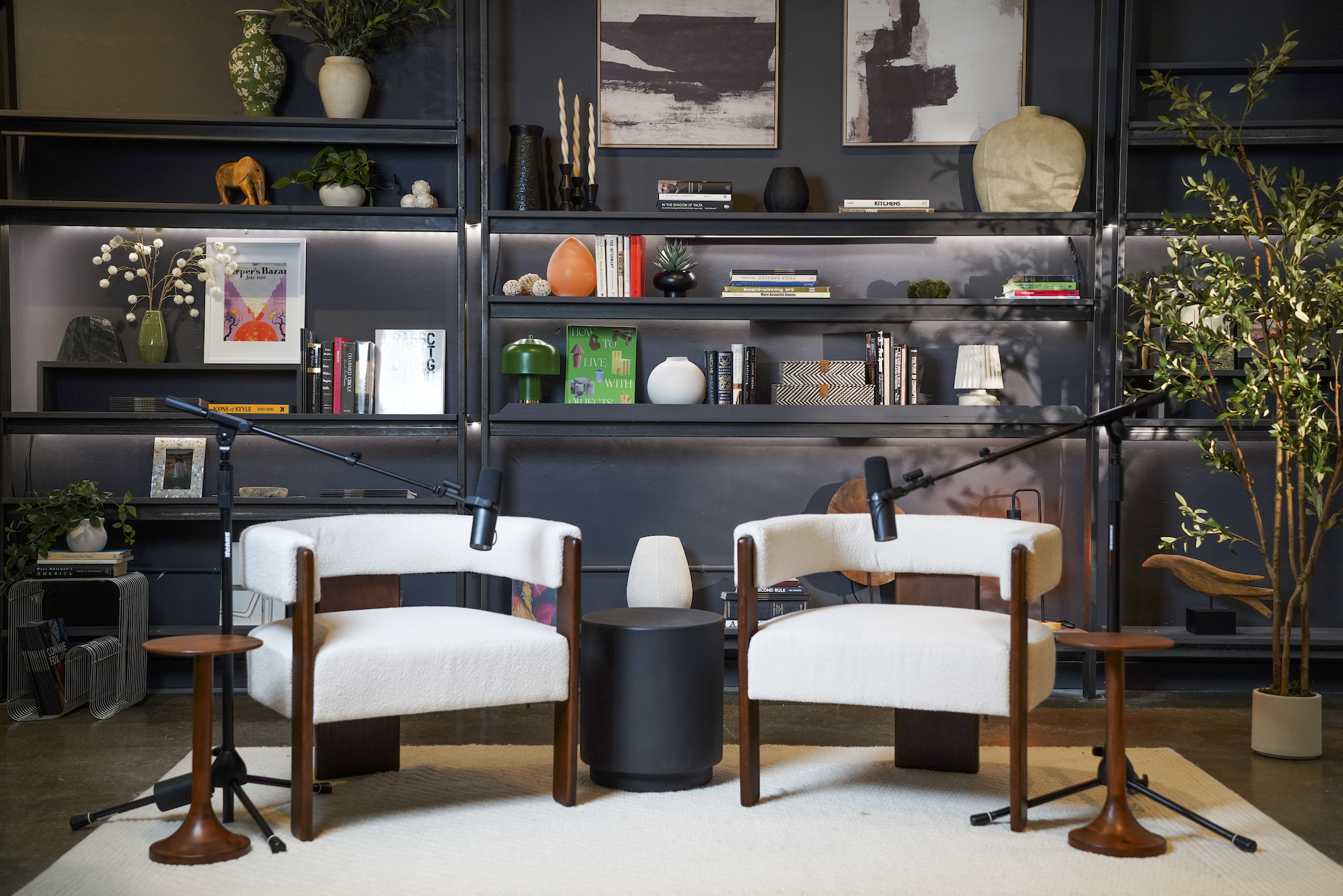 Two women sitting in chairs during an interview or conversation, with a microphone between them, in a modern room with plants and wooden decor.
