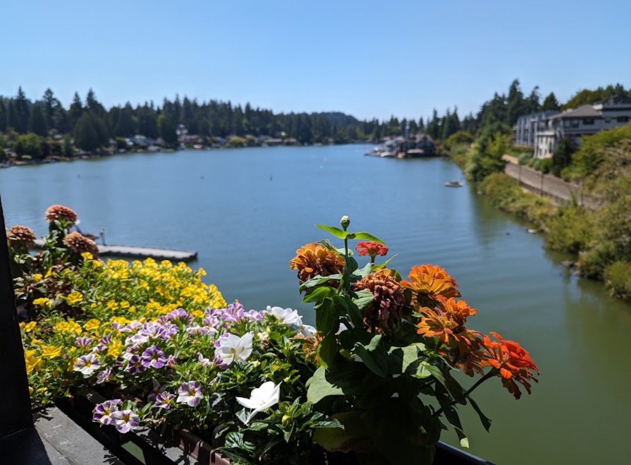 Spring whispers its arrival, heralding the imminent bloom of stunning cherry blossoms and vibrant flowers around #LakeOswego!

Seize the opportunity to behold this awe-inspiring natural spectacle &ndash; reserve your stay today and immerse yourself i