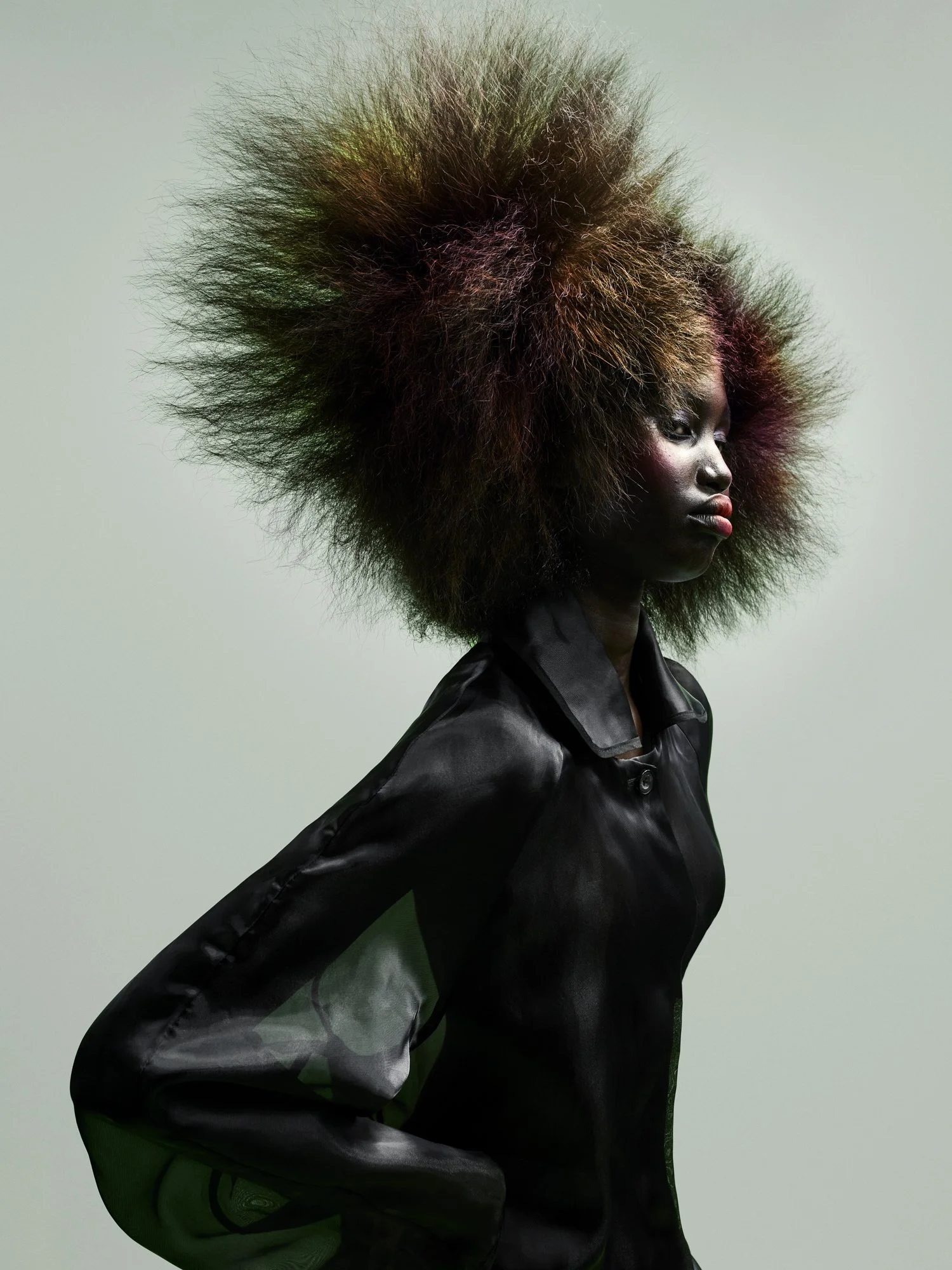 A woman with a large, voluminous, multi-colored afro hairstyle, wearing a black satin jacket, posed against a plain gray background.