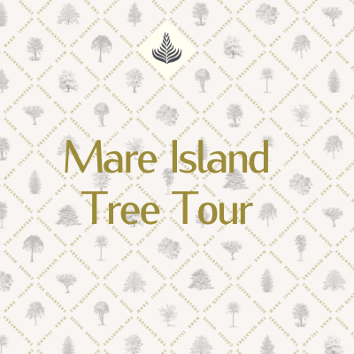 MARE ISLAND TREE TOUR