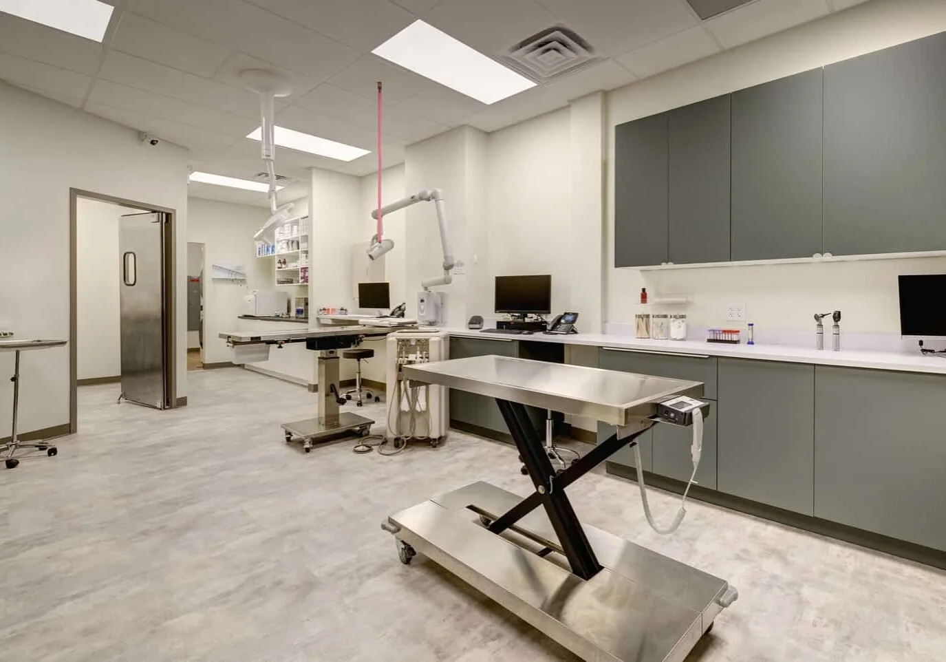 veterinary exam room with medical equipment and table