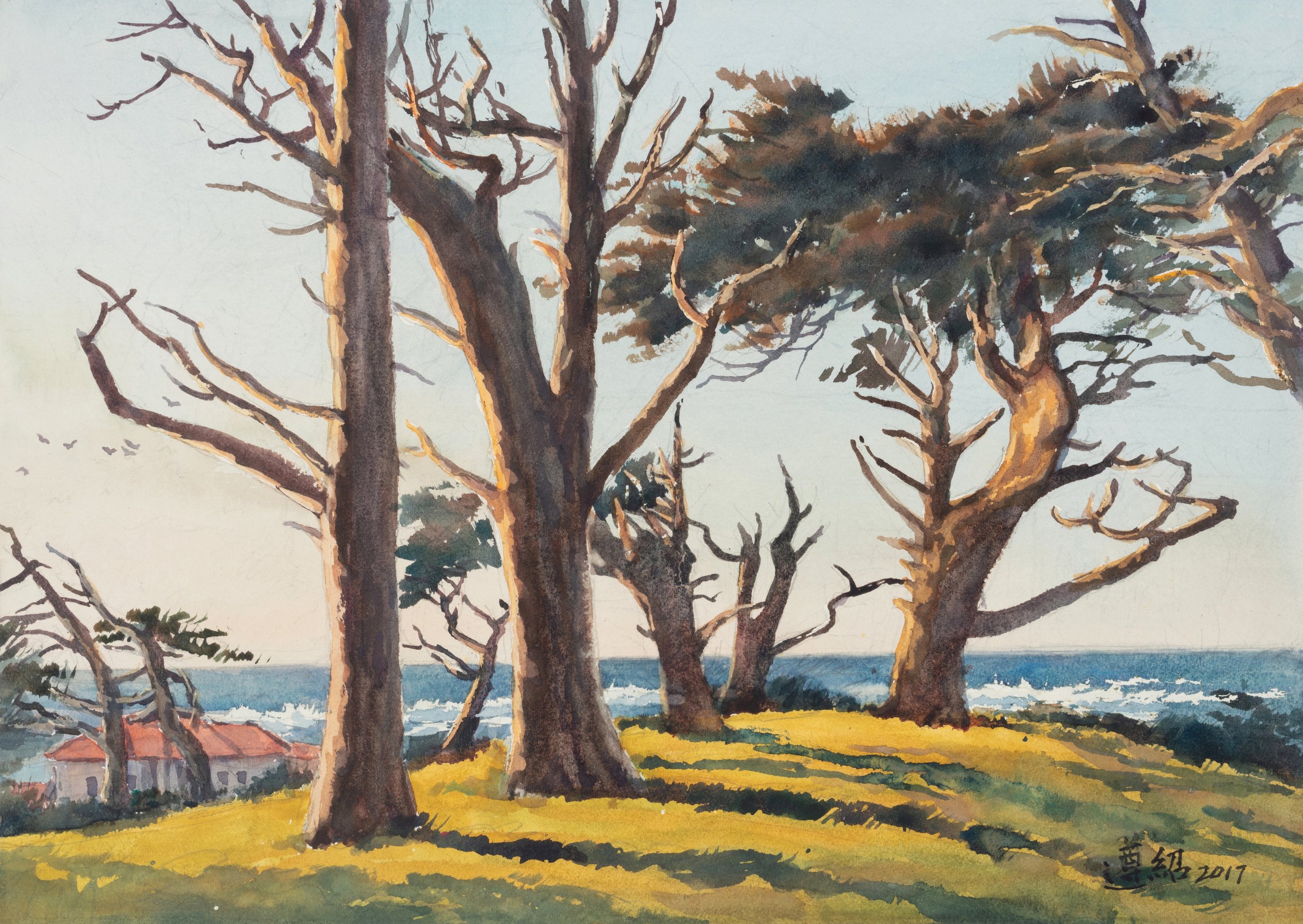 36加州海岸 （39x55cm） 2017.jpg