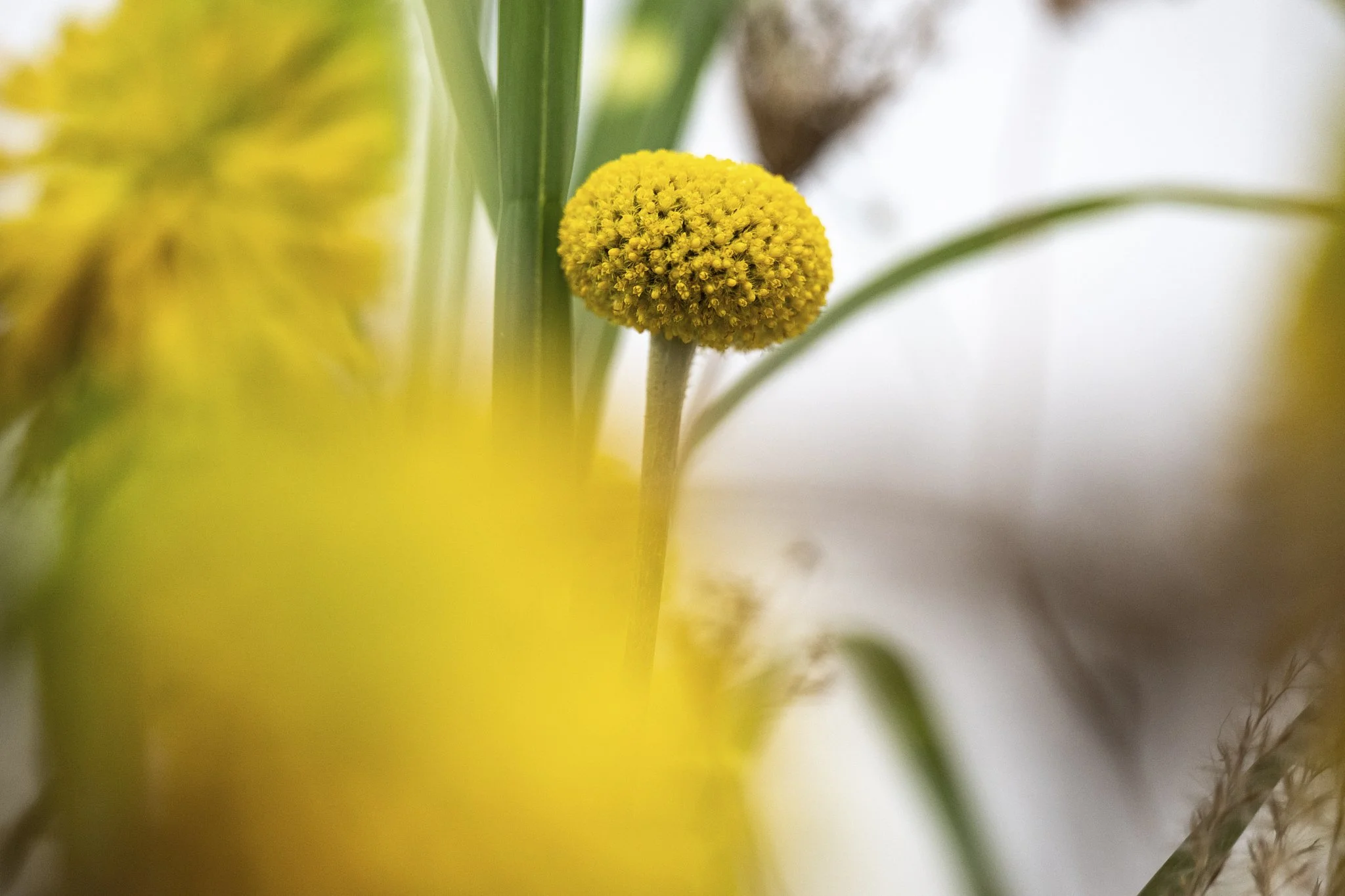 manuelagossweilerphotography-5526-2.jpg
