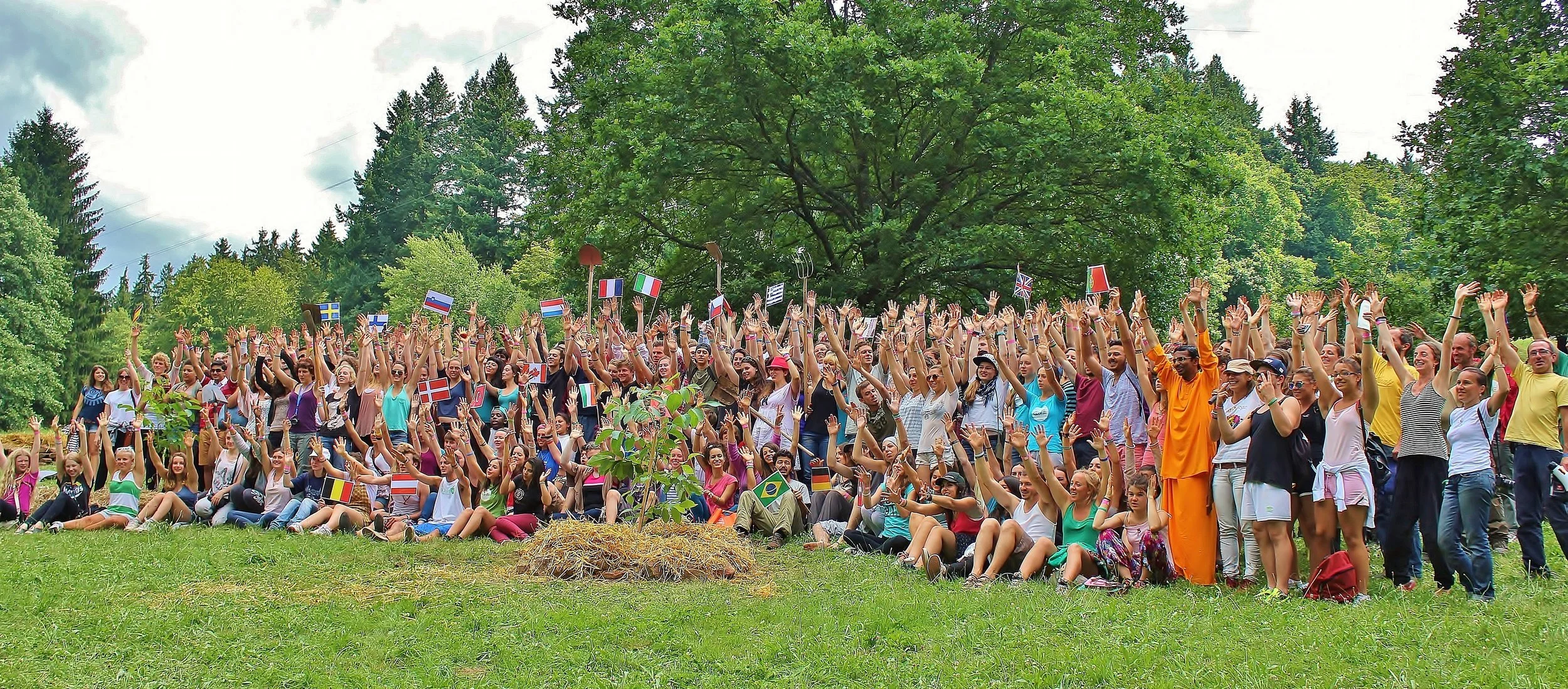 TREES FOR PEACE – PLANTING FOR A SUSTAINABLE AND PEACEFUL FUTURE