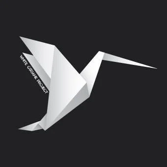 ‘WHITE C(R)ANE PROJECT’ – AIDING VISUALLY-IMPAIRED CHILDREN AND YOUTH