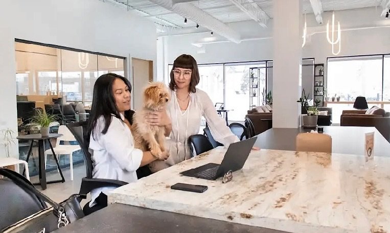 Get work done, take a puppy break, repeat. That&rsquo;s the Createful way :)
