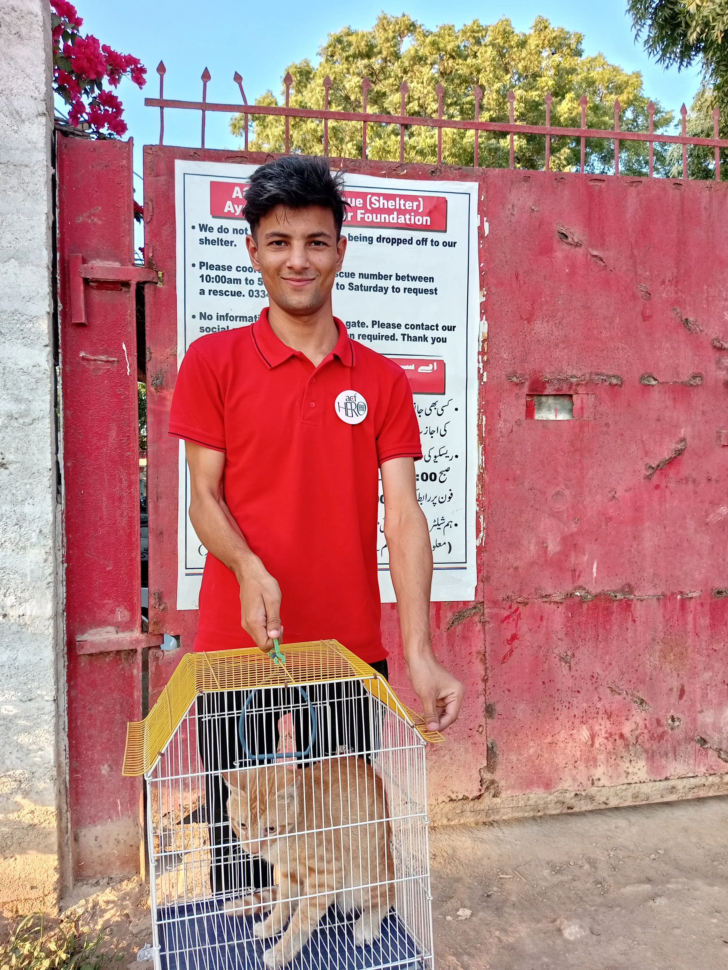 Kashan Nasir Abbasi.jpeg