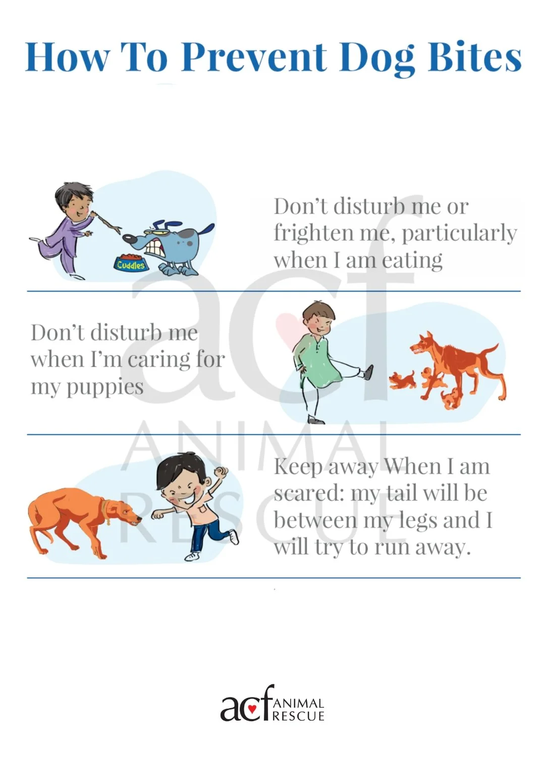 T & C - Cover Images.jpg