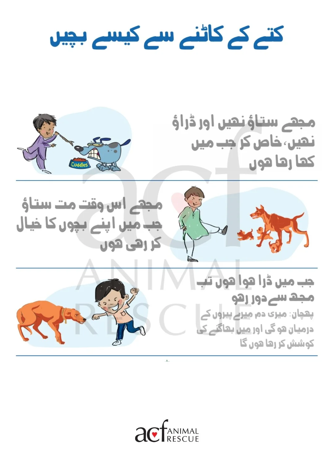 T & C - Cover Images (1).jpg